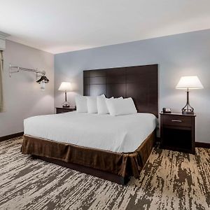Suite mit Kingsize-Bett